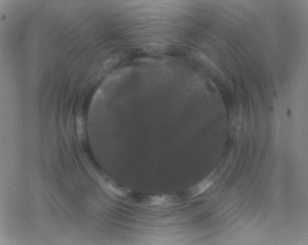 X0000076450130200610271833