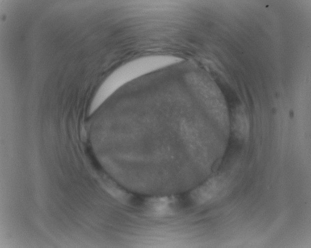 X0000076450131200610271833