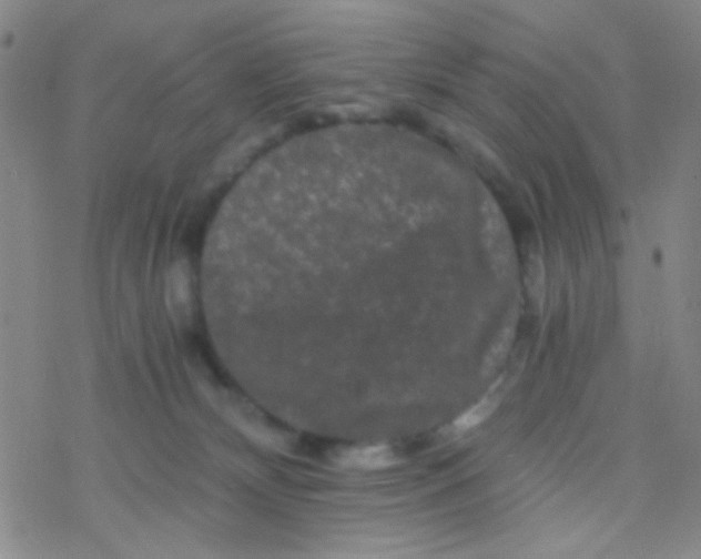 X0000076450132200610271833