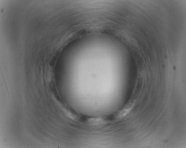 X0000076450133200610271833