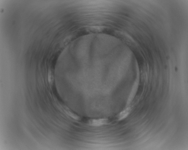 X0000076450134200610271833