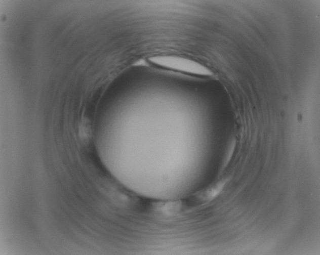 X0000076450135200610271833