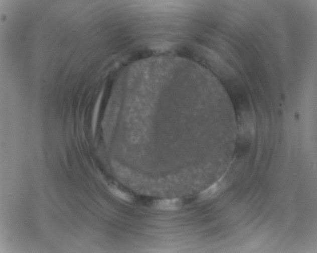 X0000076450136200610271833