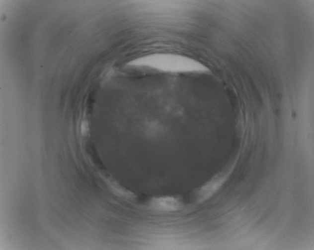 X0000076450137200610271833