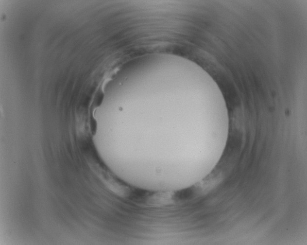 X0000076450138200610271833