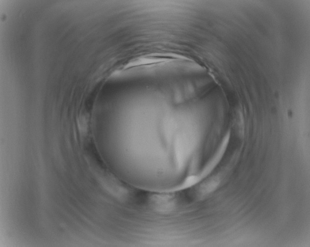 X0000076450139200610271833