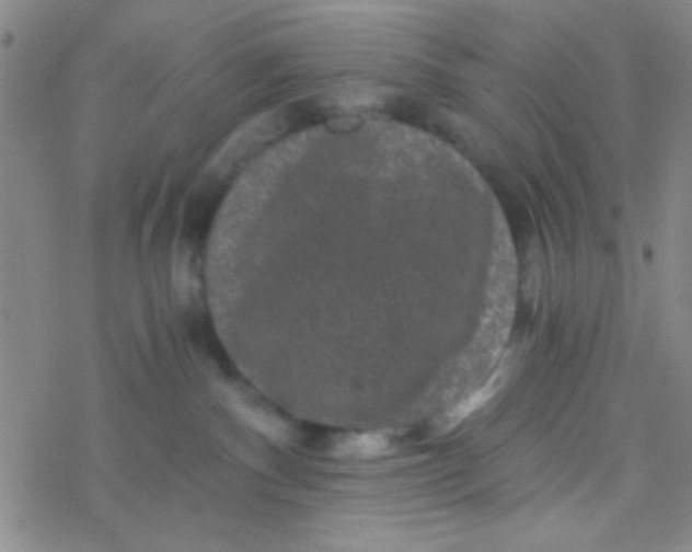 X0000076450140200610271833