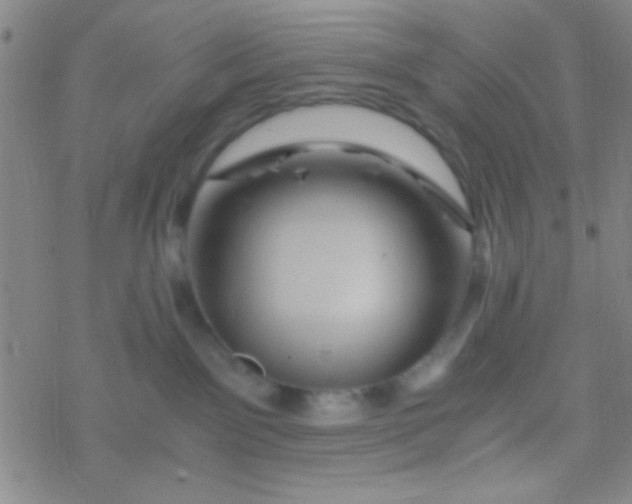 X0000076450141200610271833