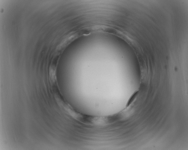 X0000076450142200610271833