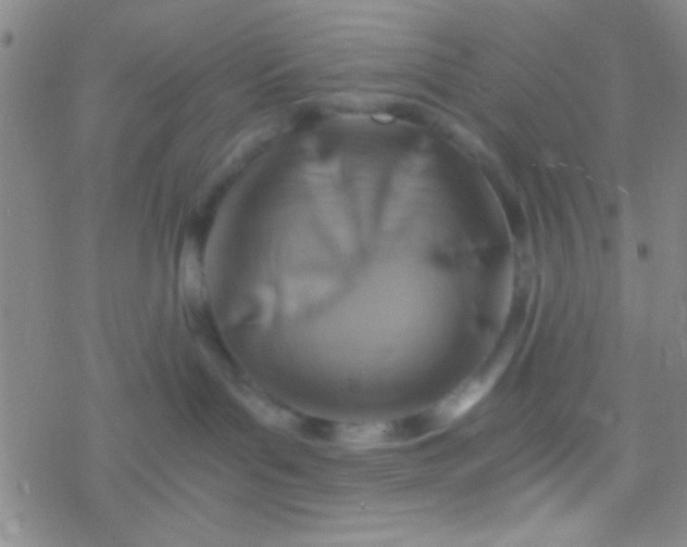 X0000076450143200610271833