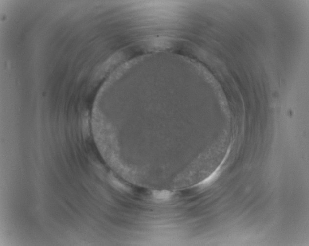 X0000076450144200610271833