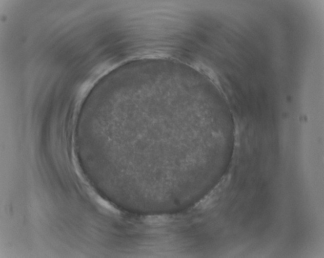 X0000076450145200610271832