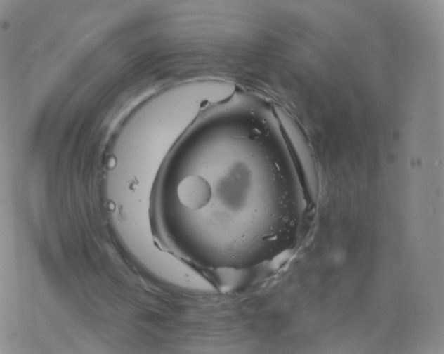 X0000076450146200610271832