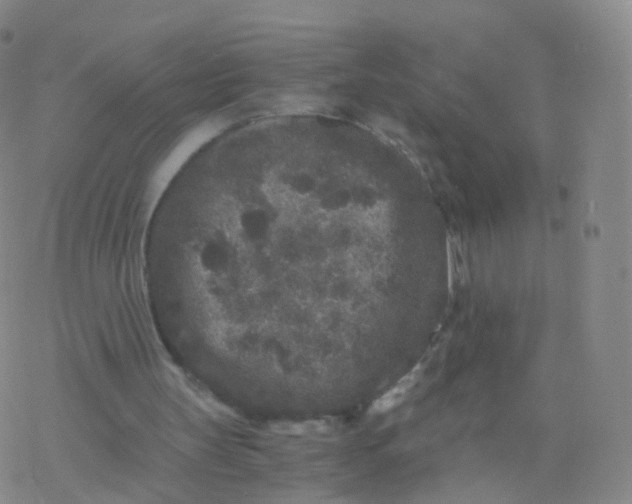 X0000076450147200610271833