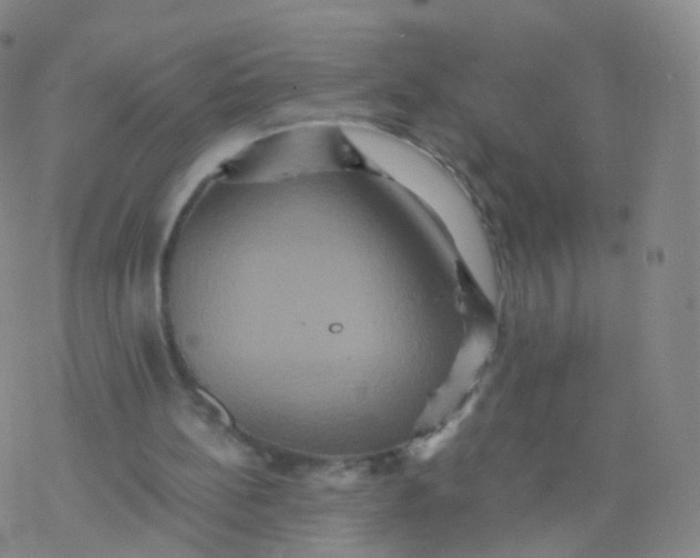 X0000076450148200610271833