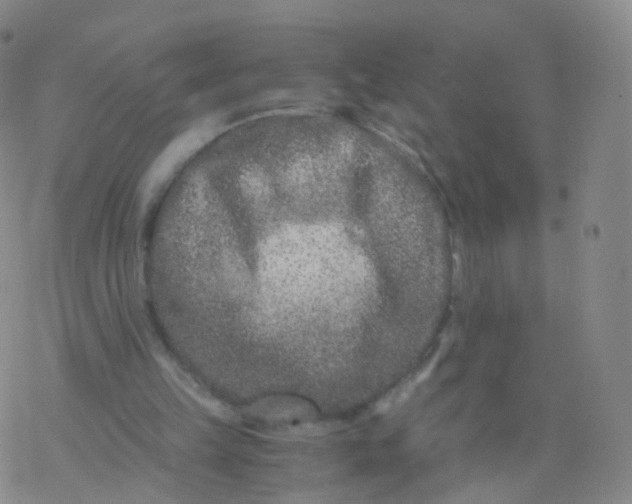 X0000076450149200610271833