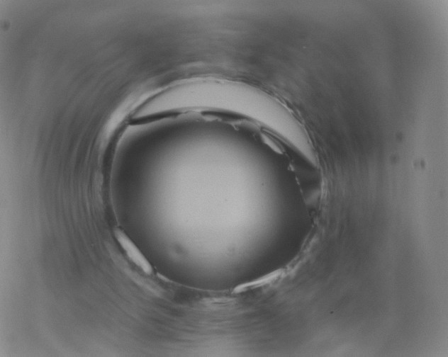 X0000076450150200610271833