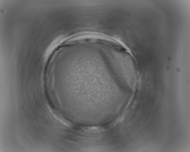 X0000076450151200610271833