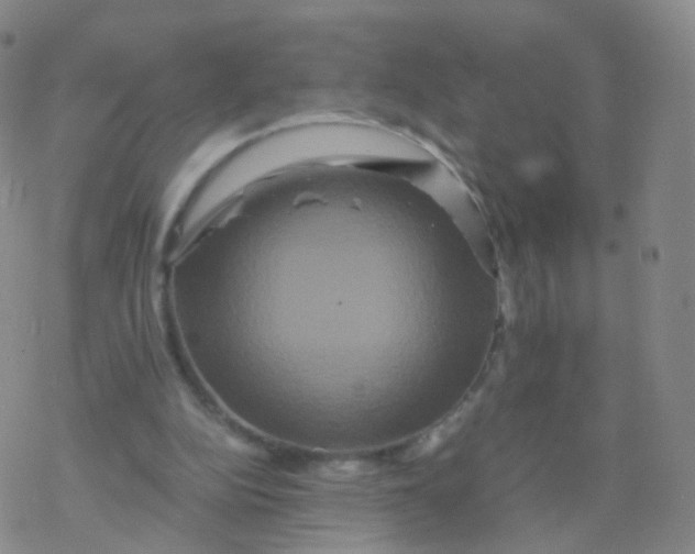 X0000076450152200610271833