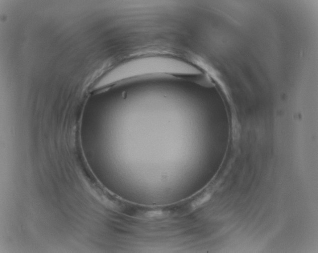 X0000076450153200610271833