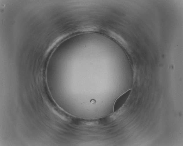 X0000076450155200610271833