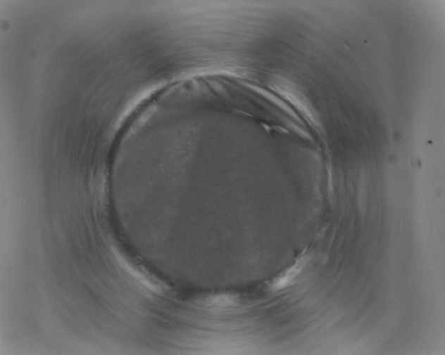 X0000076450156200610271833