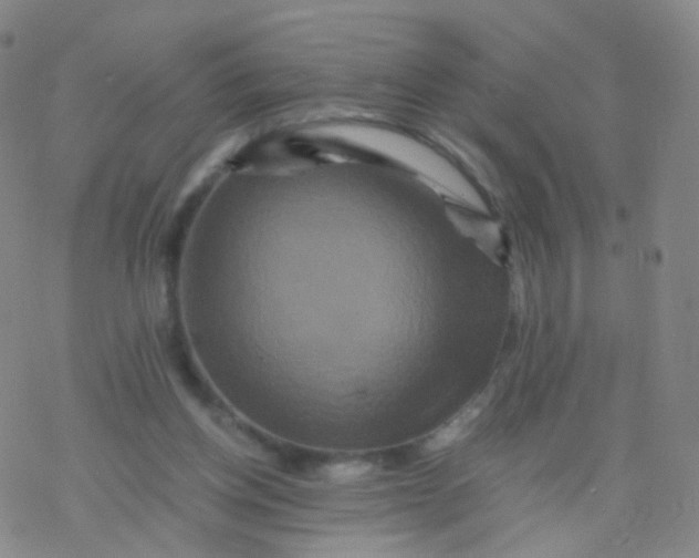 X0000076450158200610271833