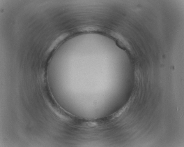 X0000076450159200610271833