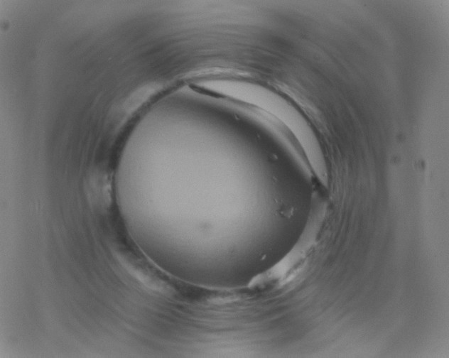 X0000076450160200610271833