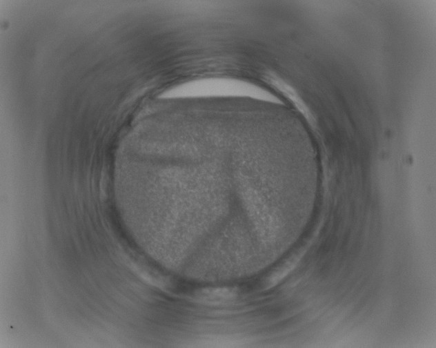 X0000076450161200610271833