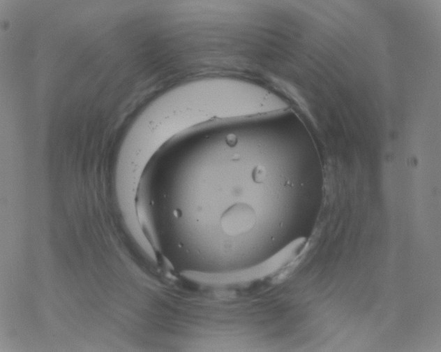 X0000076450162200610271833