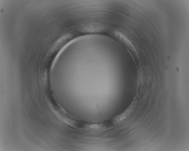 X0000076450163200610271833