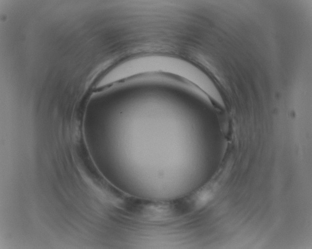 X0000076450164200610271833