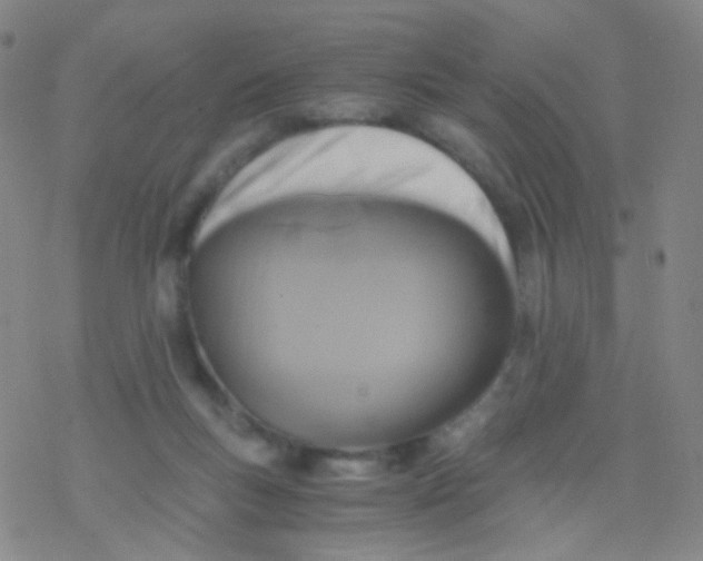 X0000076450167200610271833