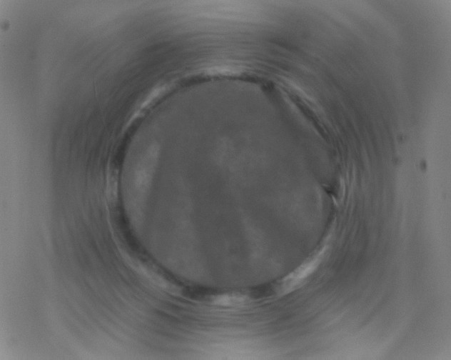 X0000076450168200610271833