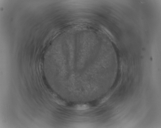 X0000076450169200610271833