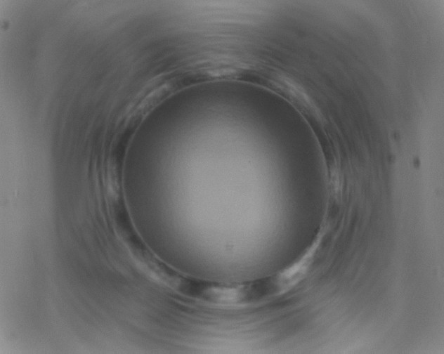 X0000076450170200610271833