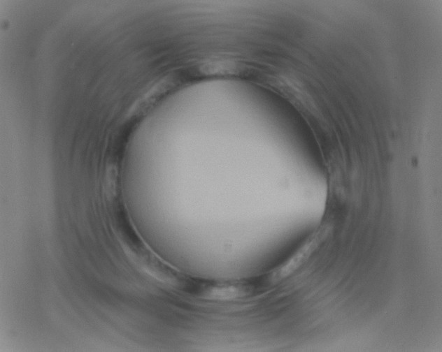 X0000076450171200610271833