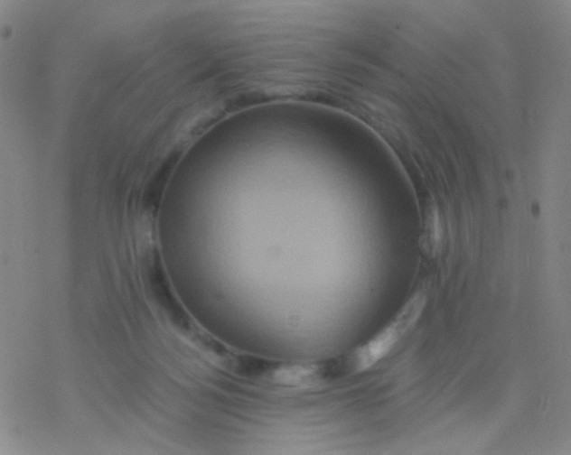 X0000076450172200610271833