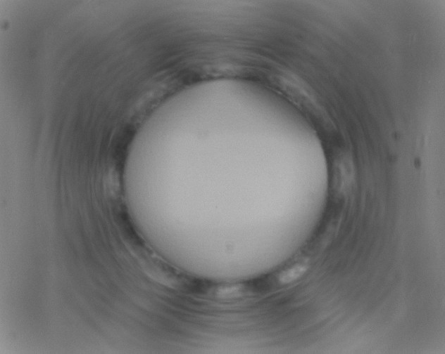 X0000076450173200610271833