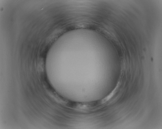 X0000076450174200610271833