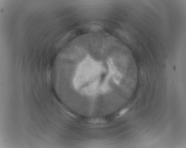 X0000076450177200610271833