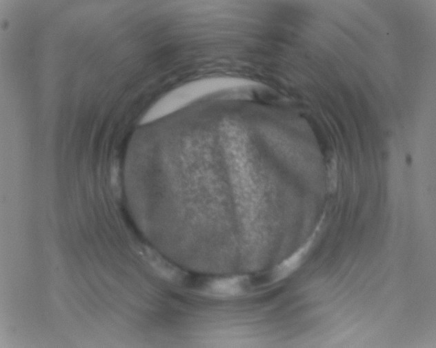 X0000076450178200610271833