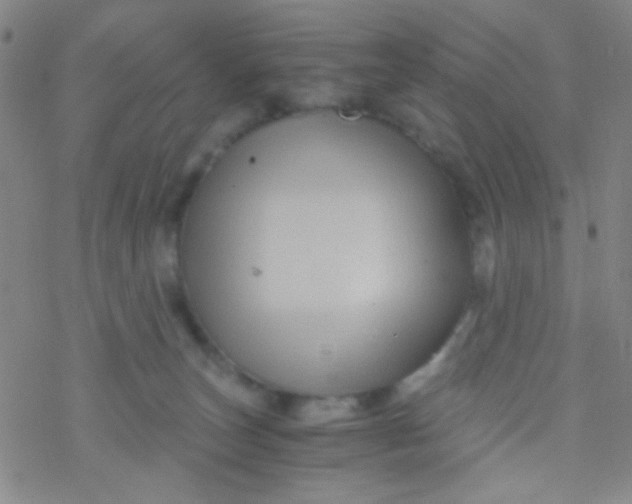 X0000076450179200610271833