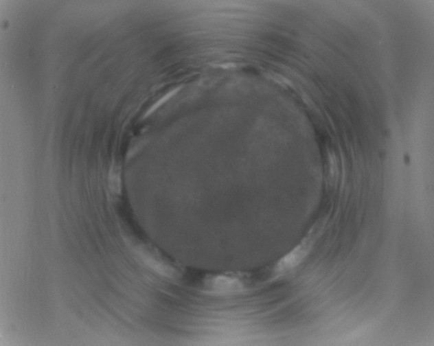 X0000076450180200610271833