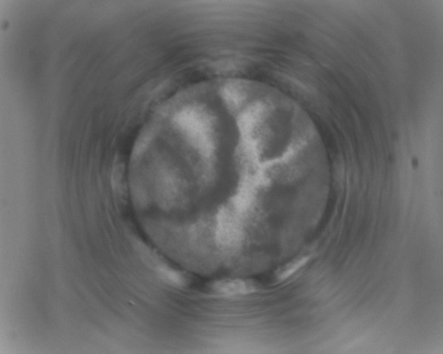 X0000076450181200610271833