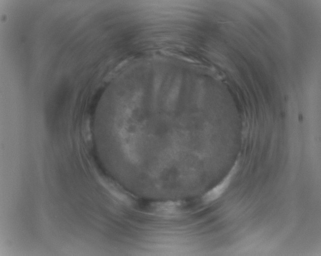 X0000076450182200610271833