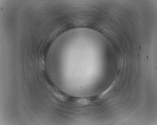 X0000076450183200610271833