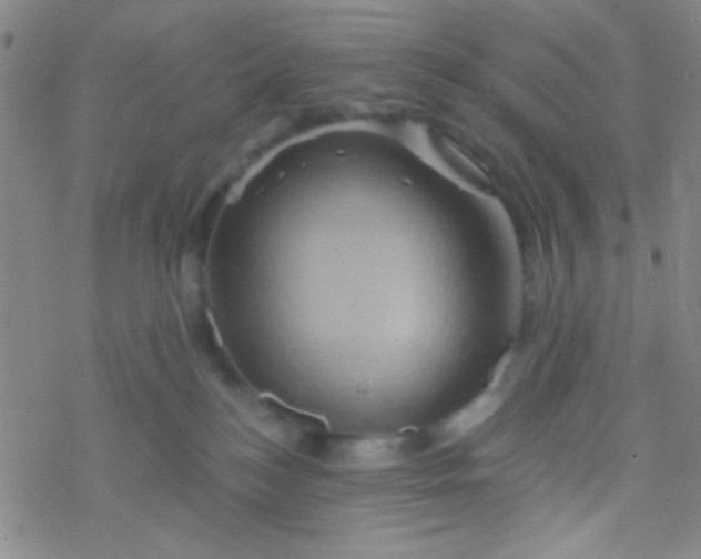 X0000076450184200610271833