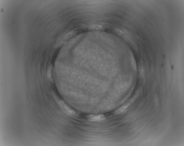 X0000076450185200610271833